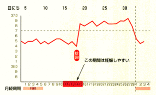 基礎体温表.gif