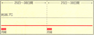 基礎体温表2.gif